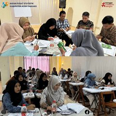 BPS of Aceh Tamiang Regency Caring SEP 2024 Training